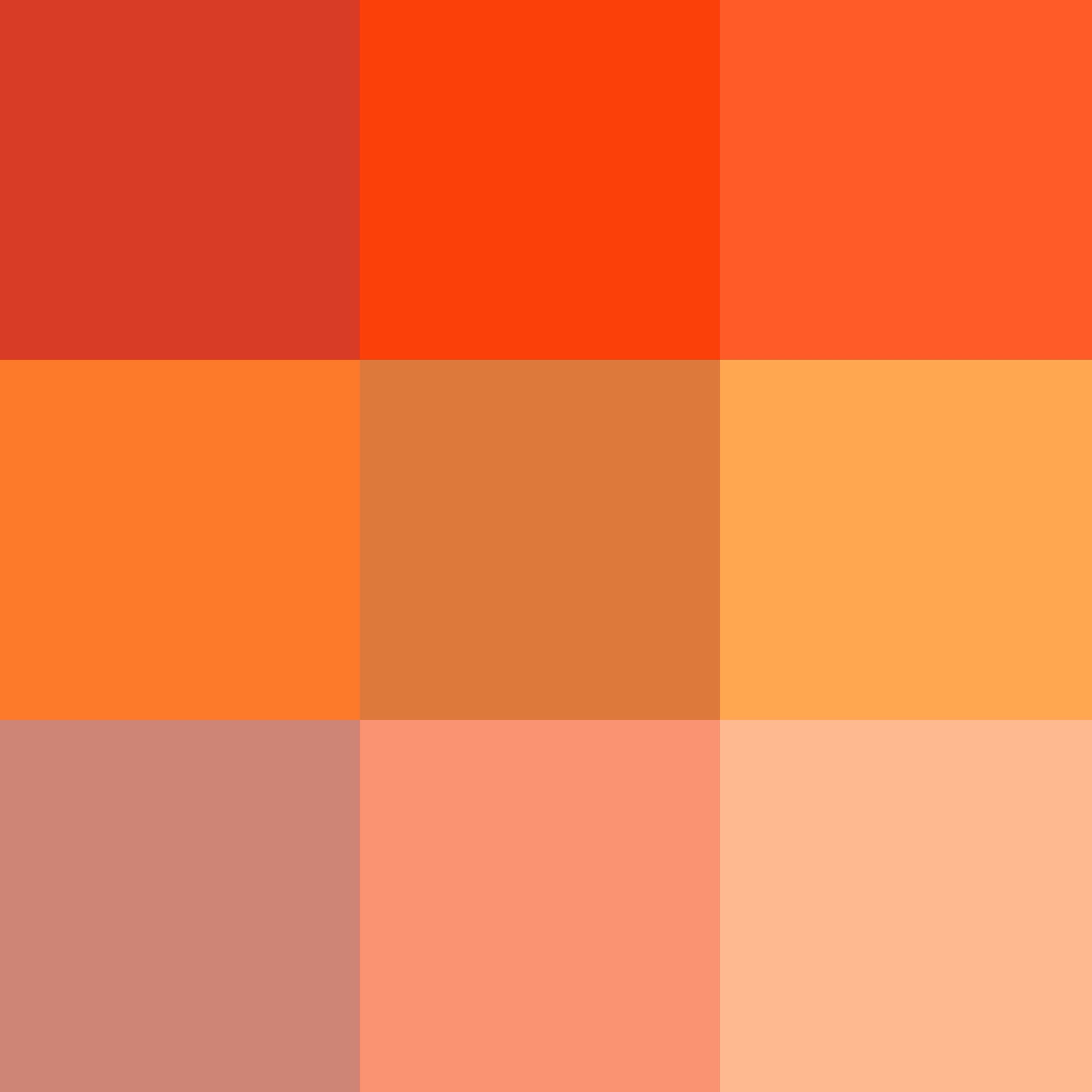  Odtenki oranžne barve: kako jo uporabiti v dekoraciji in 50 ustvarjalnih idej