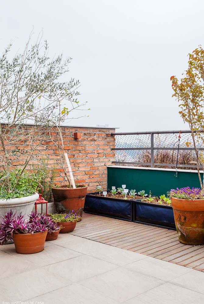  Зеленчукова градина в задния двор: как да я направим, какво да засадим и 50 идеи