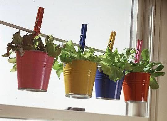  باغ سبزیجات در یک آپارتمان: 50 ایده برای الهام گرفتن را بررسی کنید