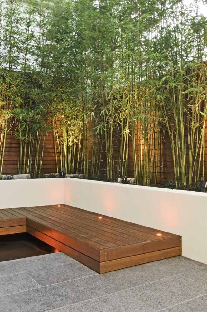  Mosso bambuk: o'simlik bilan ichki va tashqi muhit uchun 60 ta g'oyalar