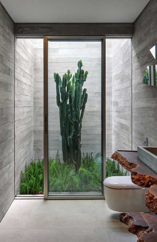  ზამთრის ბაღი აბაზანაში: რჩევები დაყენებისთვის და 50 ლამაზი ფოტო