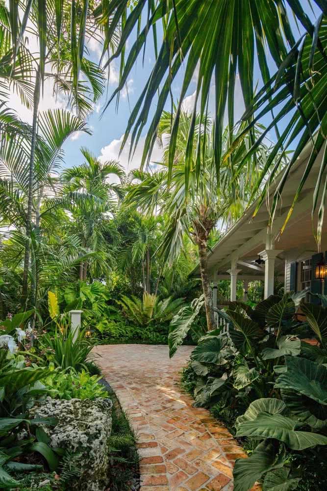  Tropická záhrada: čo to je, ako ju vytvoriť, tipy a úžasné fotografie