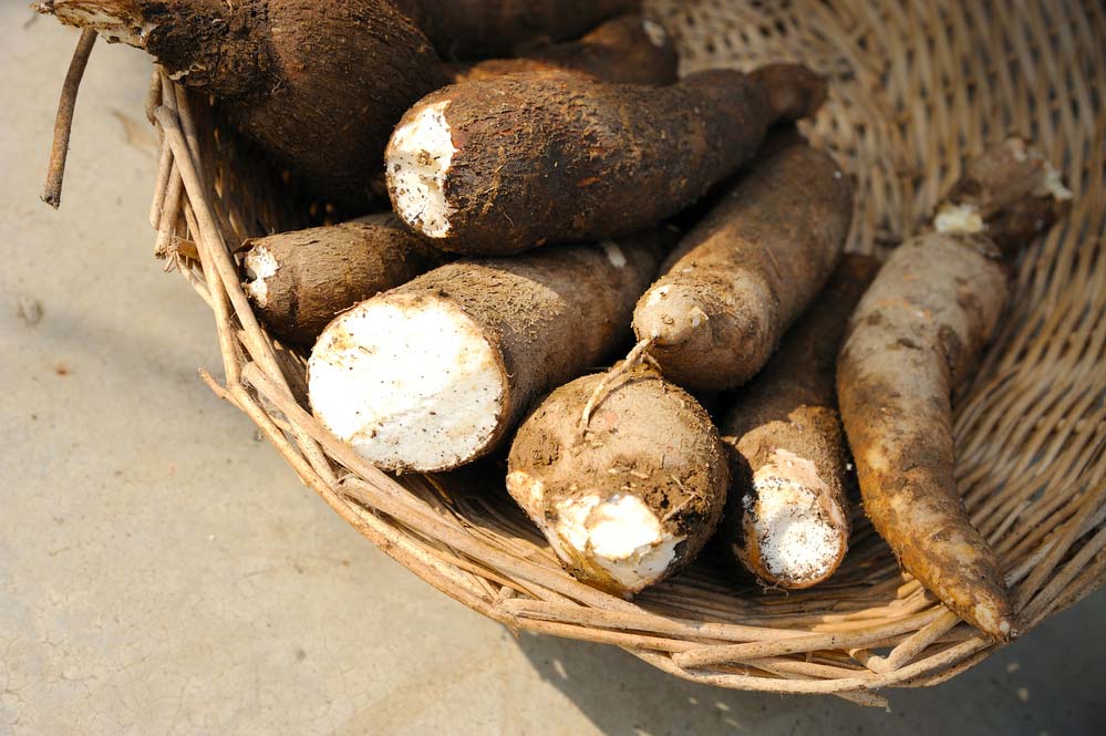  Hoe om maniok te kook: sien noodsaaklike wenke en stap vir stap