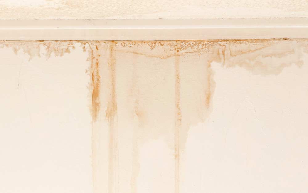  Hur man rengör en smutsig vägg: se steg för steg och försiktighetsåtgärder