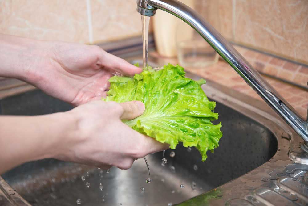  Kako oprati zelenu salatu: jednostavno i lako korak po korak