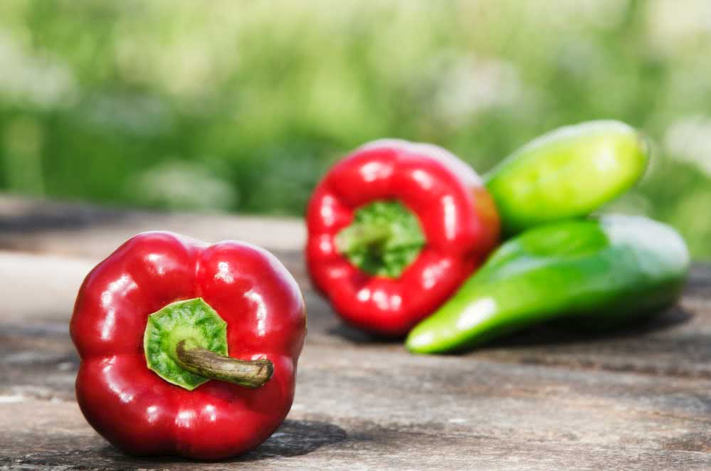  Paprika's planten: bekijk hoe je een zaailing maakt en belangrijke informatie