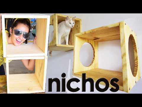  Kočičí nábytek: typy, jak ho vyrobit a krásné nápady pro inspiraci