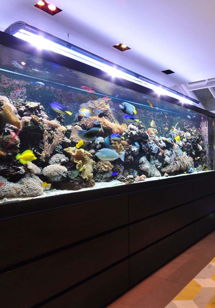  54 модела акваријума у ​​декорацији за вас да будете инспирисани